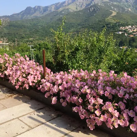 Apartment Petrino Studio Agios Georgios (Thasos)